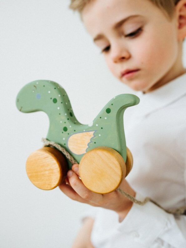 juguete-sostenible-madera-dinosaurio-maminess-6 (1)