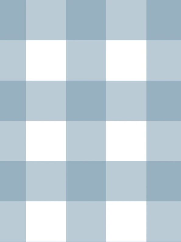 papel-pintado-infantil-vichy-azul5