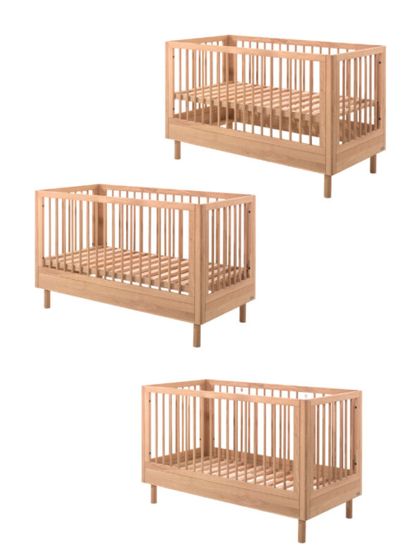 cuna-evolutiva-forrest-roble10